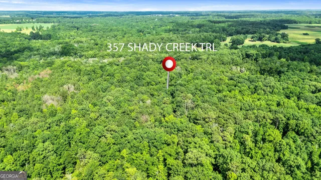 $650,000 | 357 Shady Crk Trail, Williamson, GA 30292