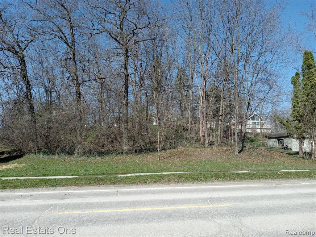 0 North Conklin Road Lake Orion, MI 48362 - Photo 4 of 8 Gallery Image 4