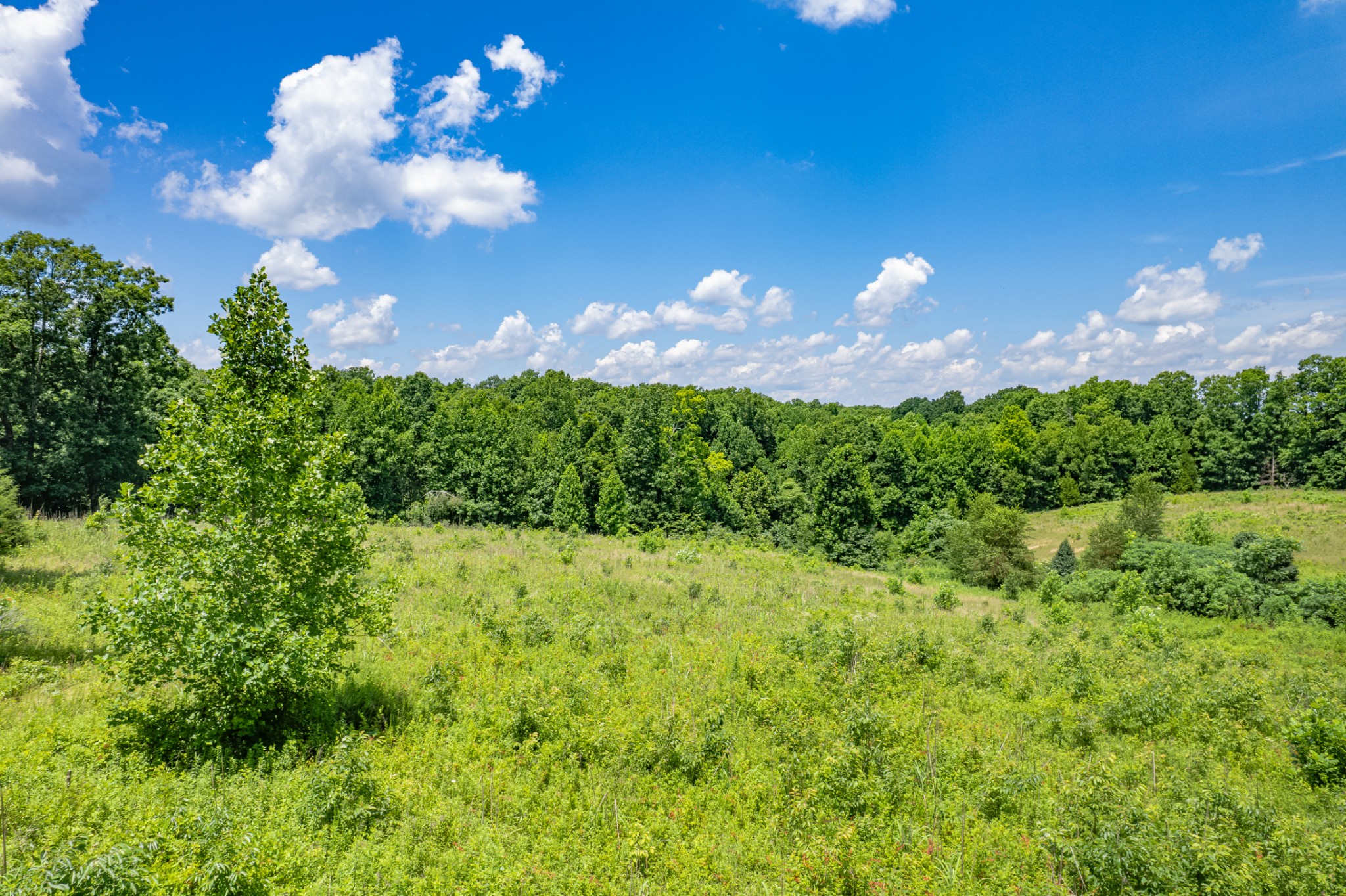 0 Mobley Ridge Road Duck River, TN 38454 - Photo 26 of 35 a view of a golf course with green space