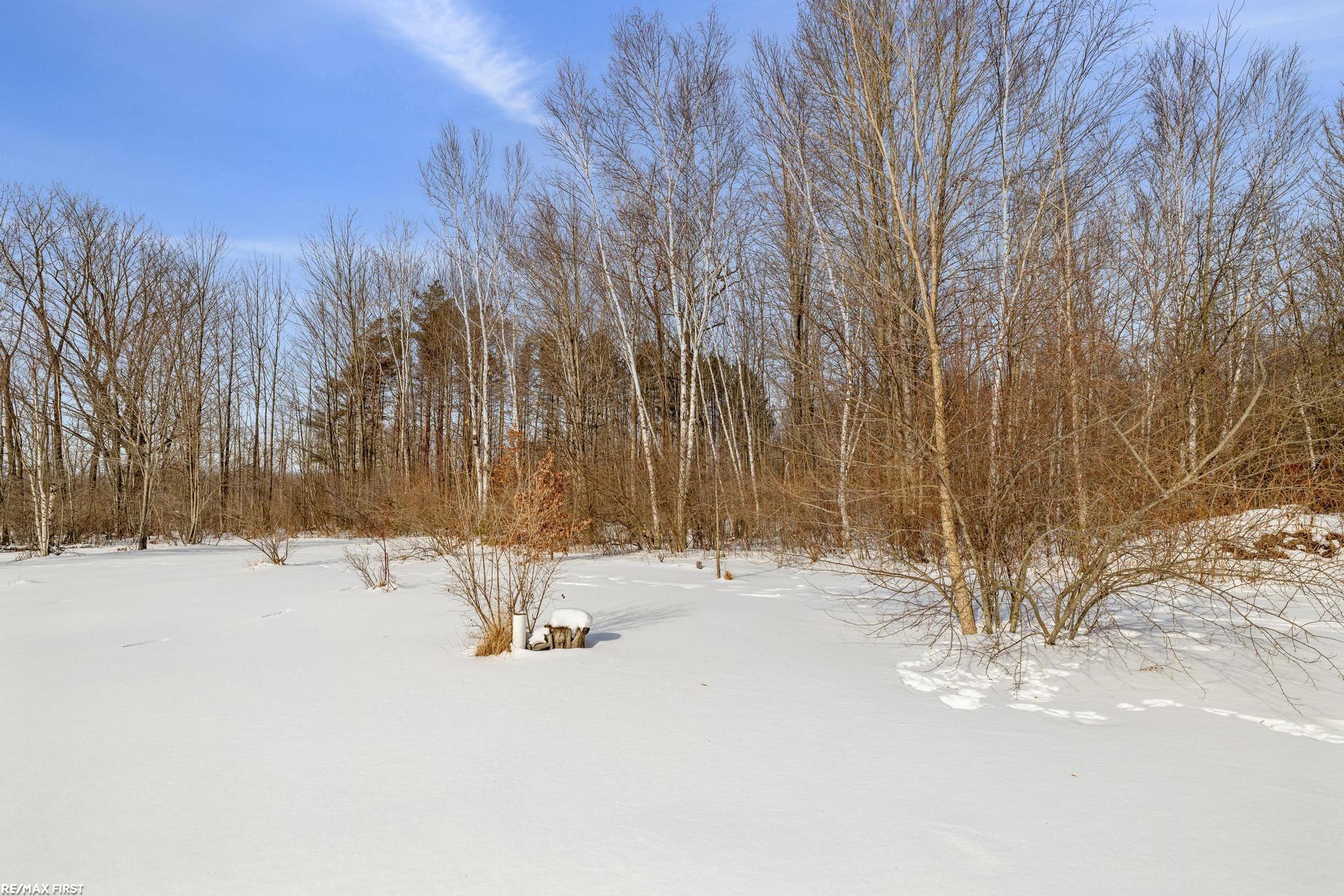 6776 Ravenswood Road Smiths Creek, MI 48074 - Photo 52 of 61
