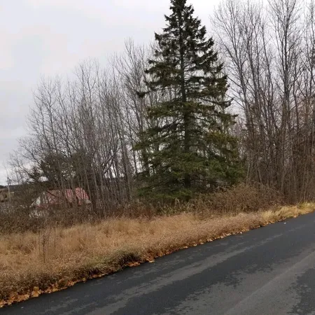 $13,500 | 10 Webster Avenue, Limestone, ME 04750