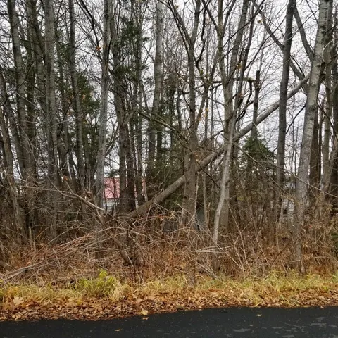 $13,500 | 10 Webster Avenue, Limestone, ME 04750