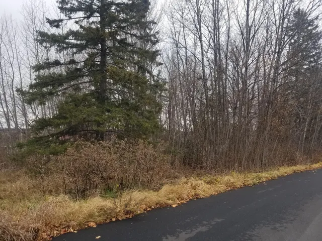 $13,500 | 10 Webster Avenue, Limestone, ME 04750