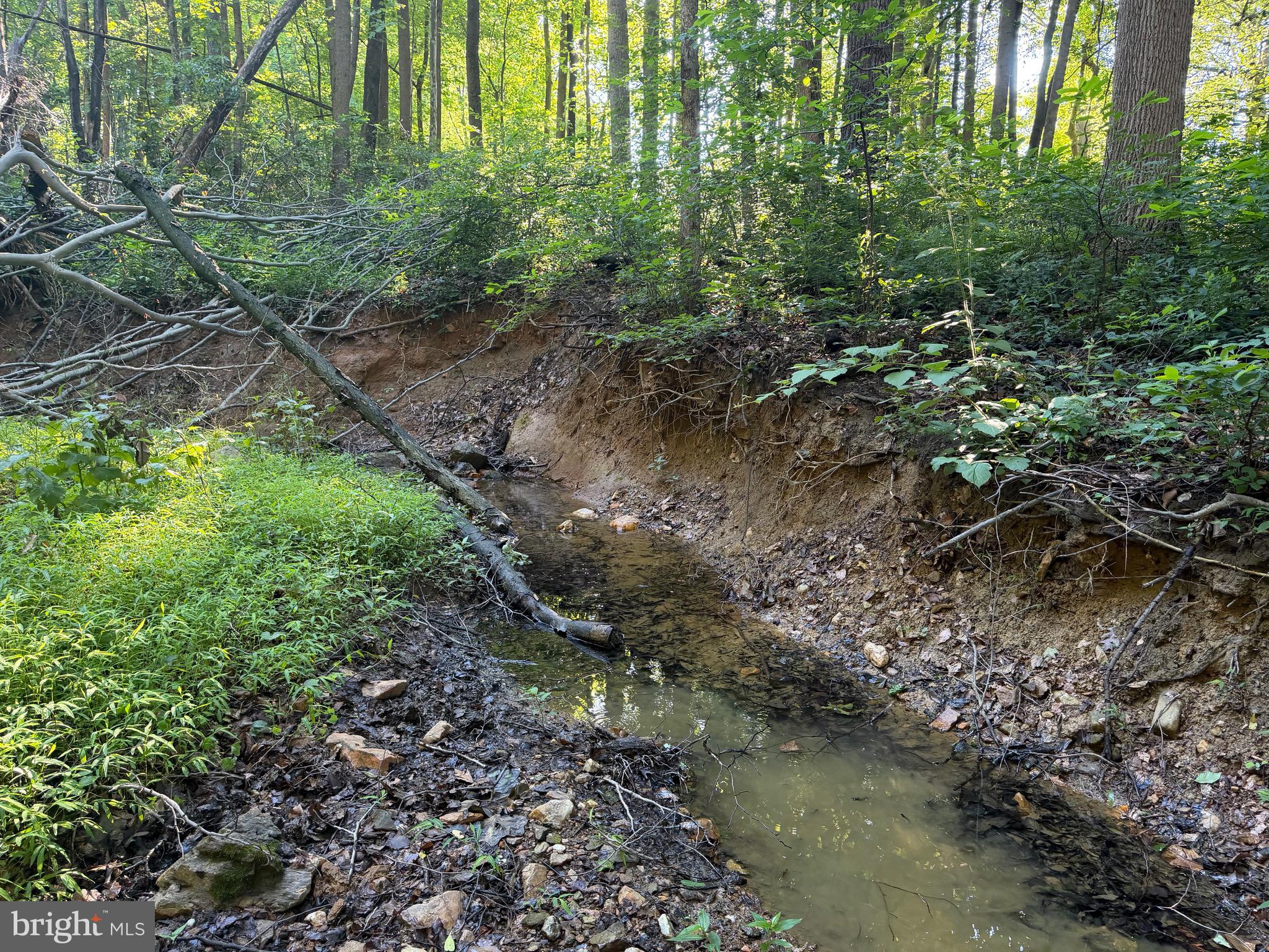 0 Rock Springs Road Conowingo, MD 21918 - Photo 22 of 79