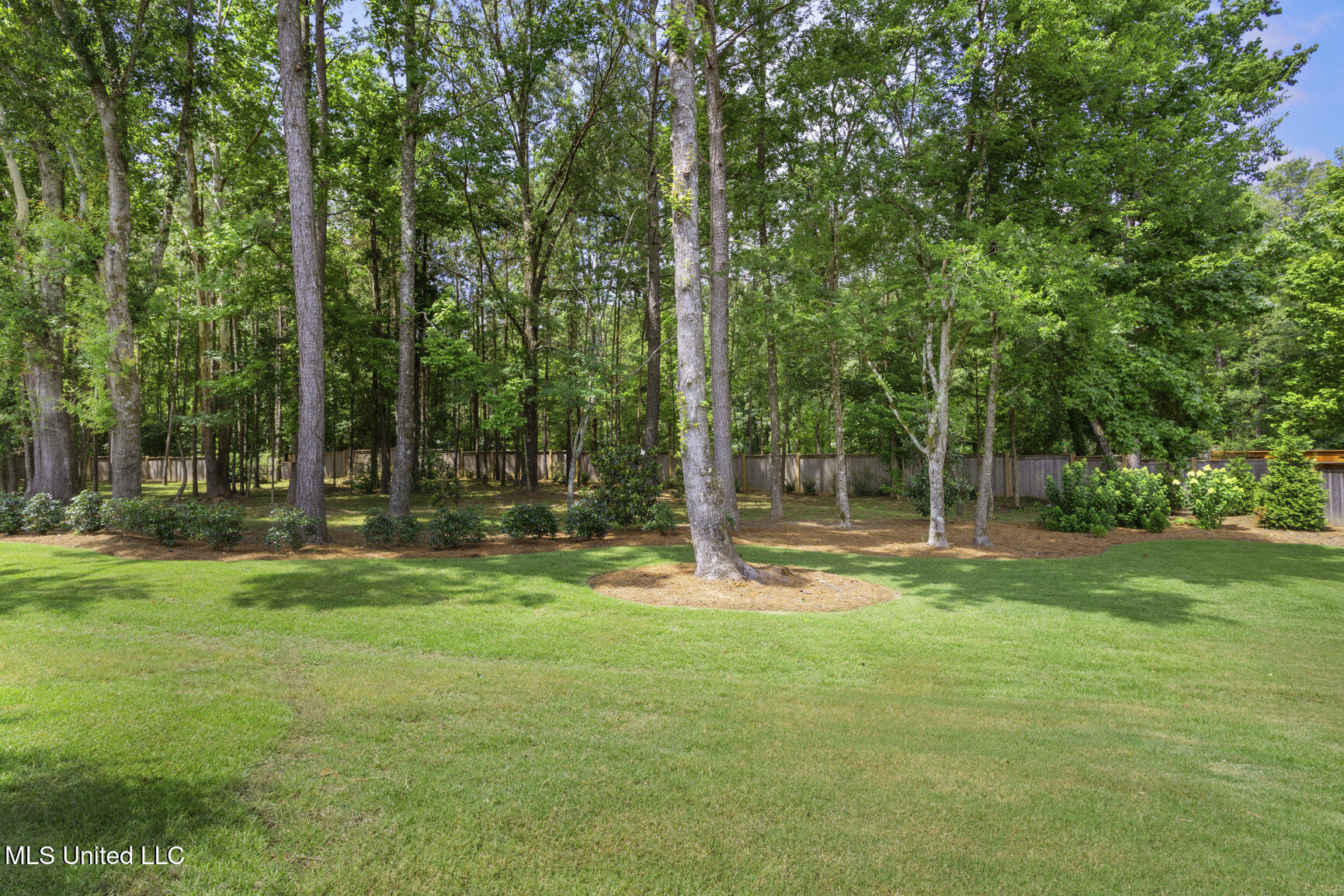 502 Cypress Cove Ridgeland, MS 39157 - Photo 34 of 40 502 Cypress Cv-16