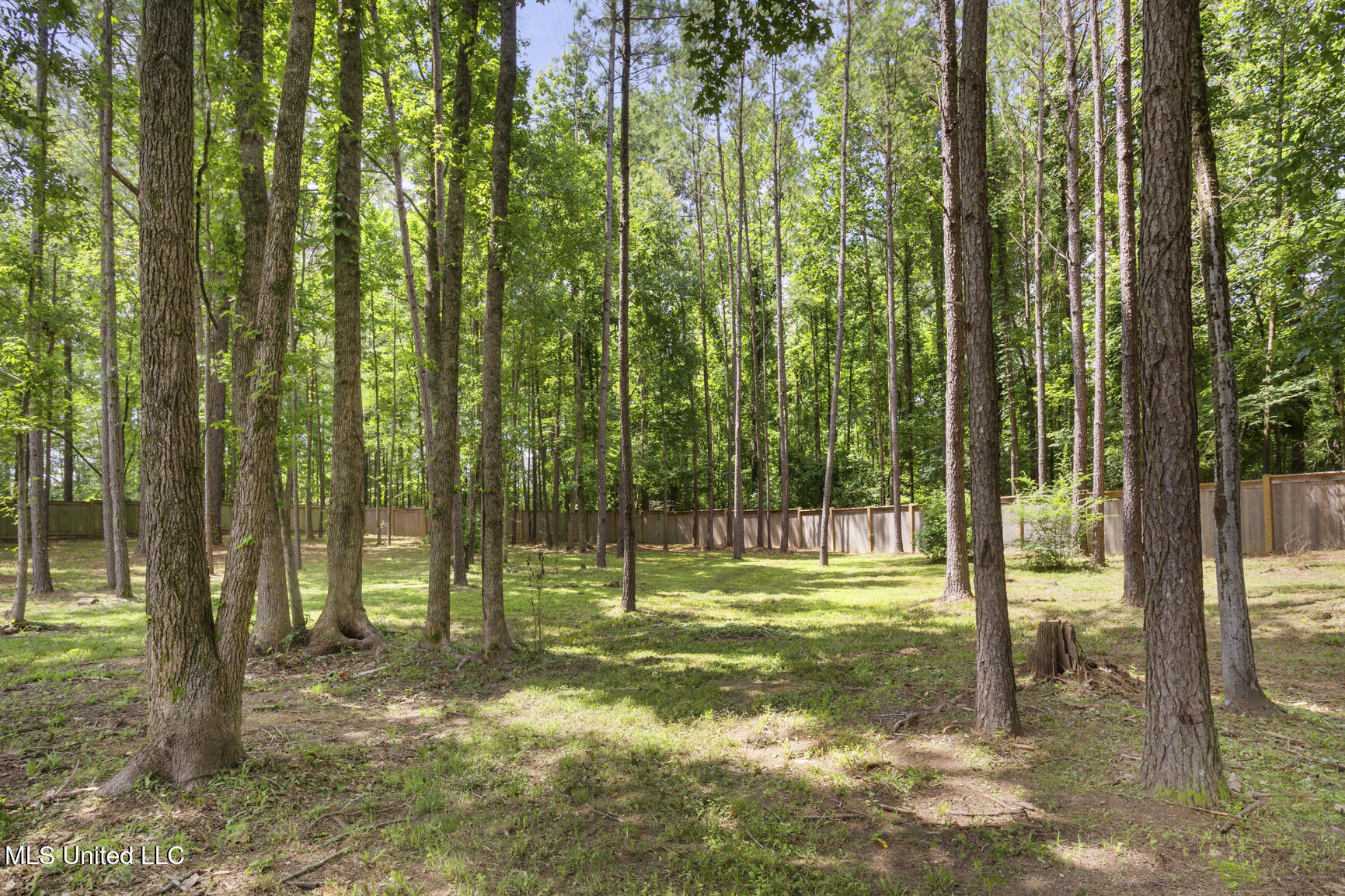 502 Cypress Cove Ridgeland, MS 39157 - Photo 37 of 40 502 Cypress Cv-15