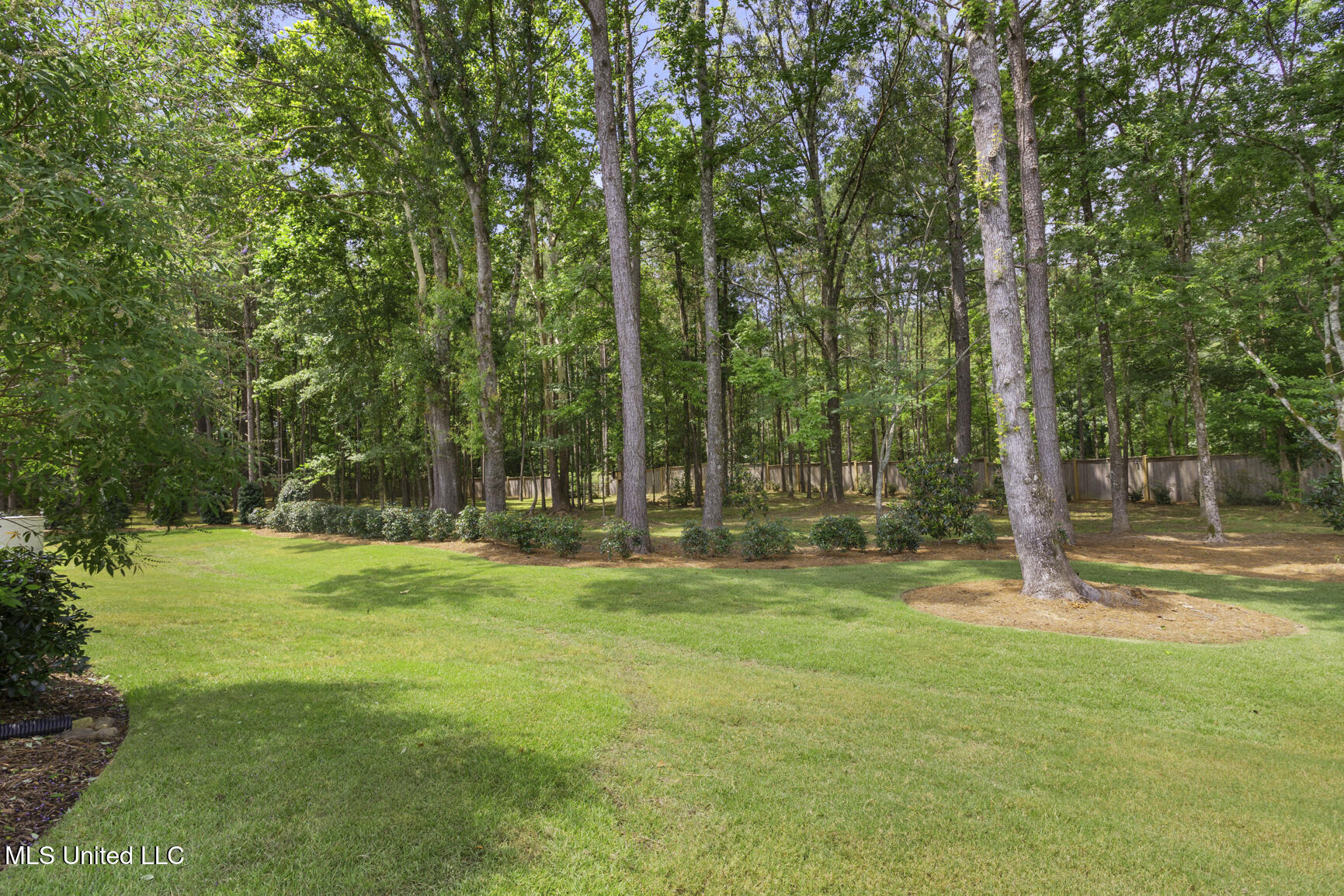 502 Cypress Cove Ridgeland, MS 39157 - Photo 38 of 40 502 Cypress Cv-17