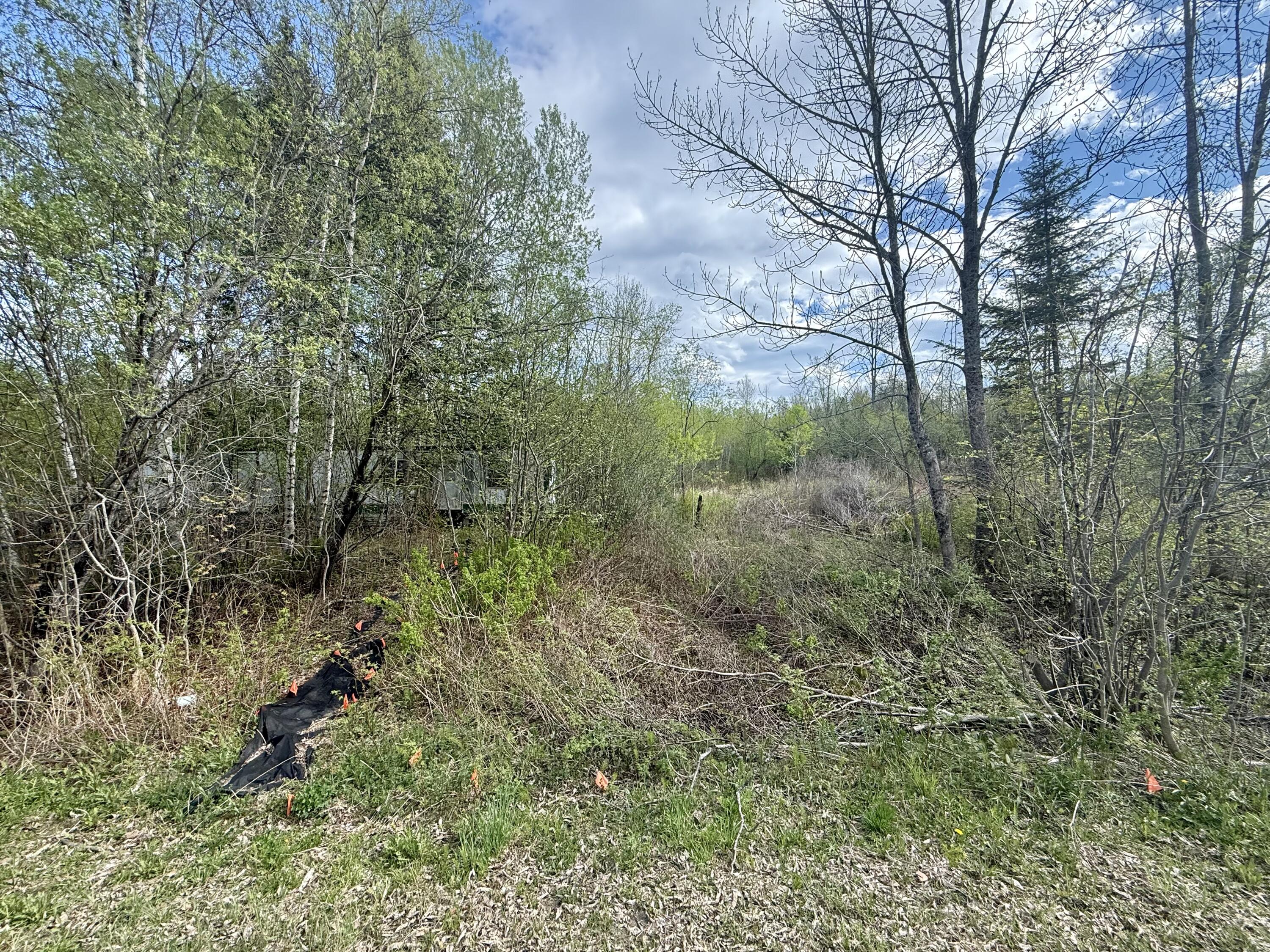 Lot #53 Sebec Lake Road Willimantic, ME 04443 - Photo 6 of 8 IMG_7955