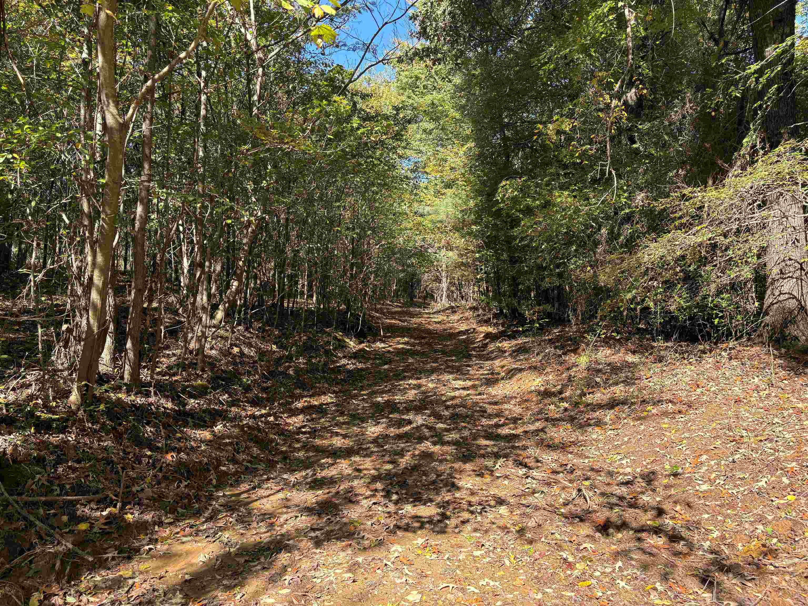 0 Mudville Road, Unit LOT 3 Millington, TN 38053 - Photo 4 of 9