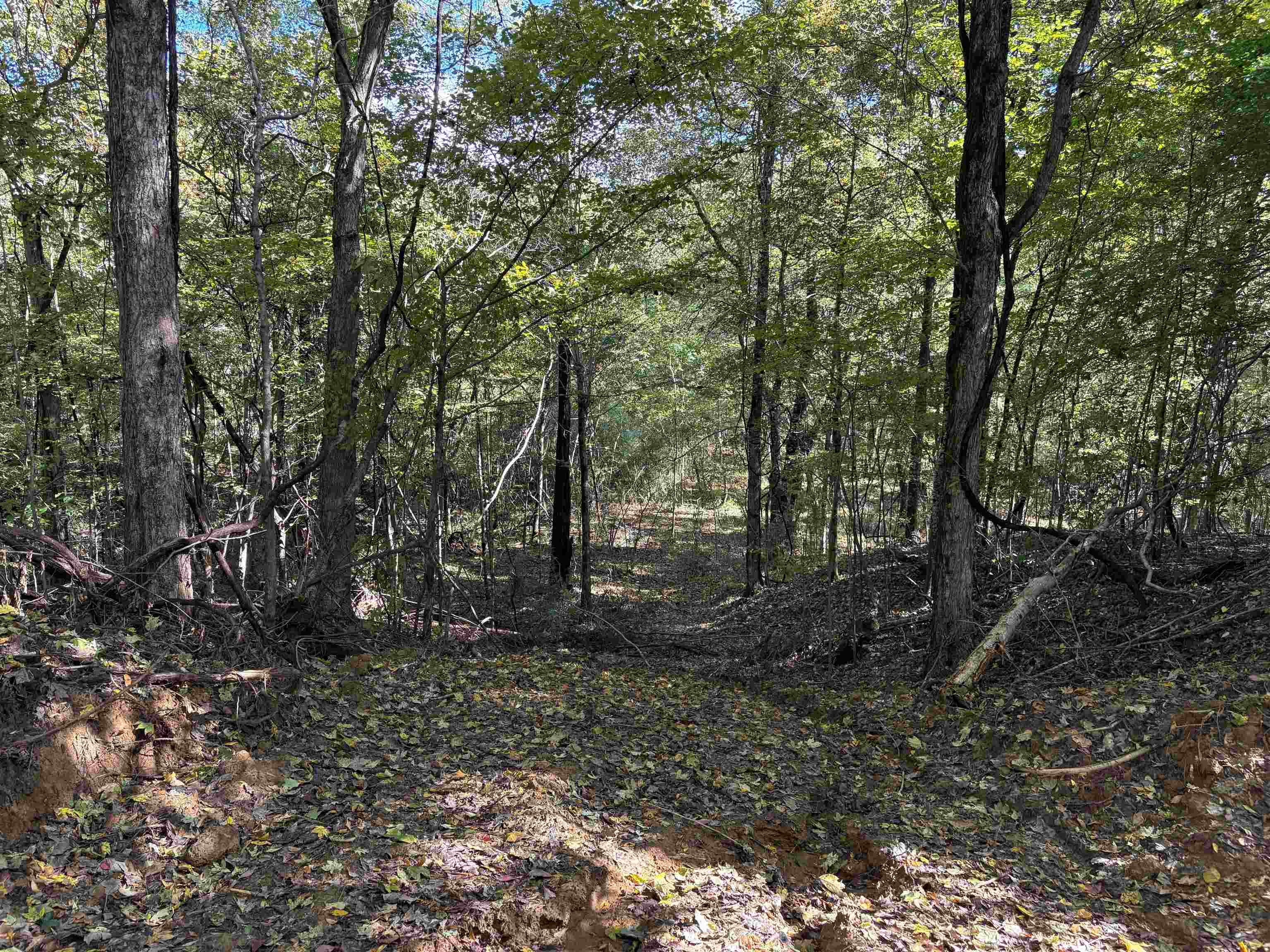 0 Mudville Road, Unit LOT 3 Millington, TN 38053 - Photo 6 of 9