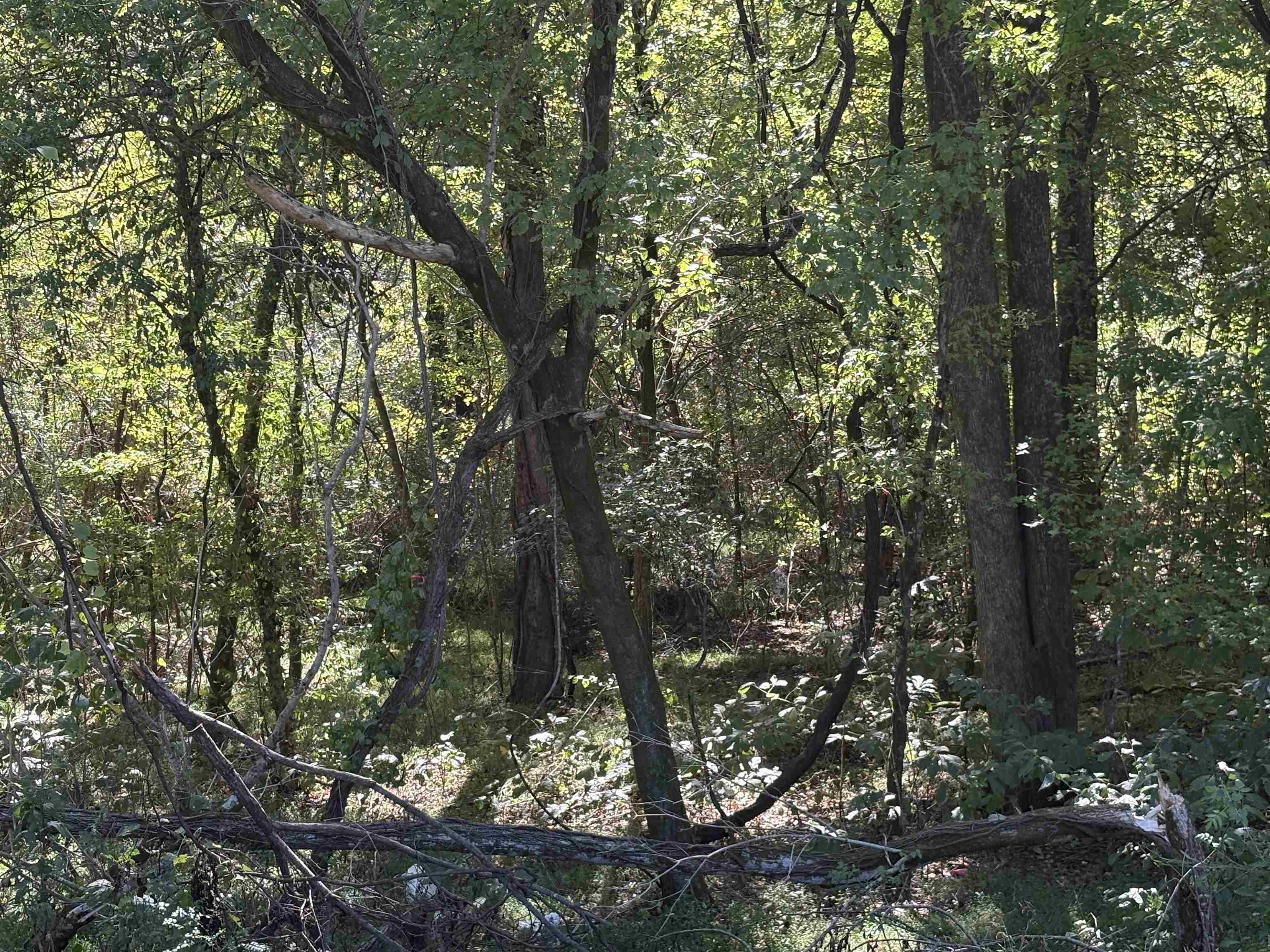 0 Mudville Road, Unit LOT 3 Millington, TN 38053 - Photo 9 of 9