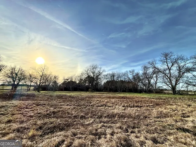 a view of a field with an trees