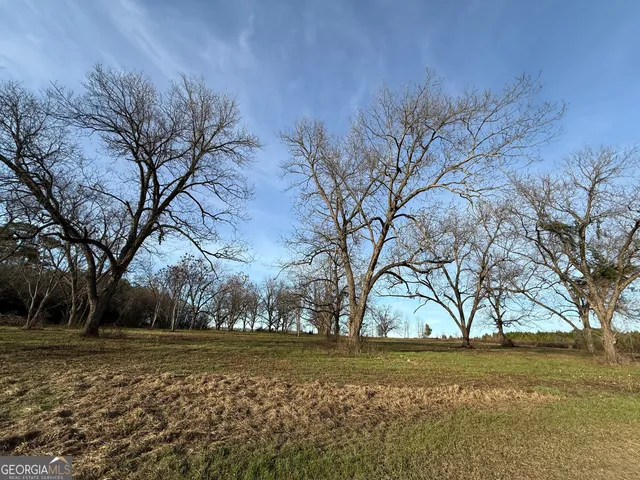 a view of a yard with large trees