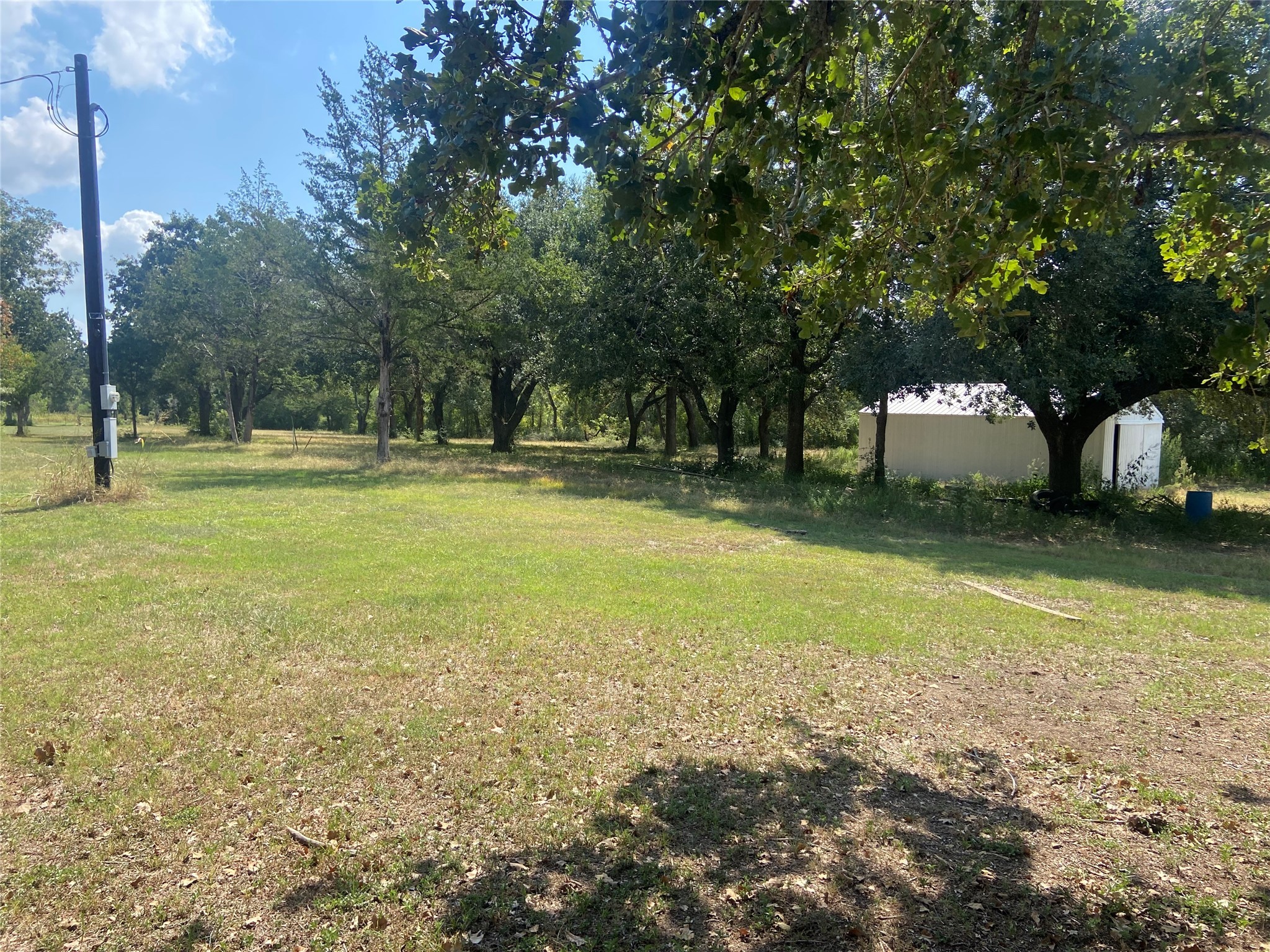 18105 Sweed Road Washington, TX 77880 - Photo 13 of 14 a view of a trees in a yard
