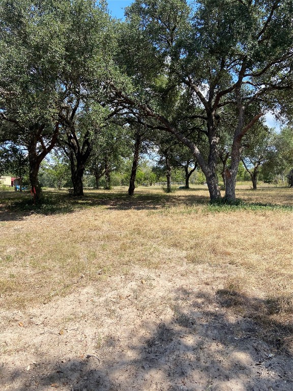 18105 Sweed Road Washington, TX 77880 - Photo 9 of 22 a view of yard with trees