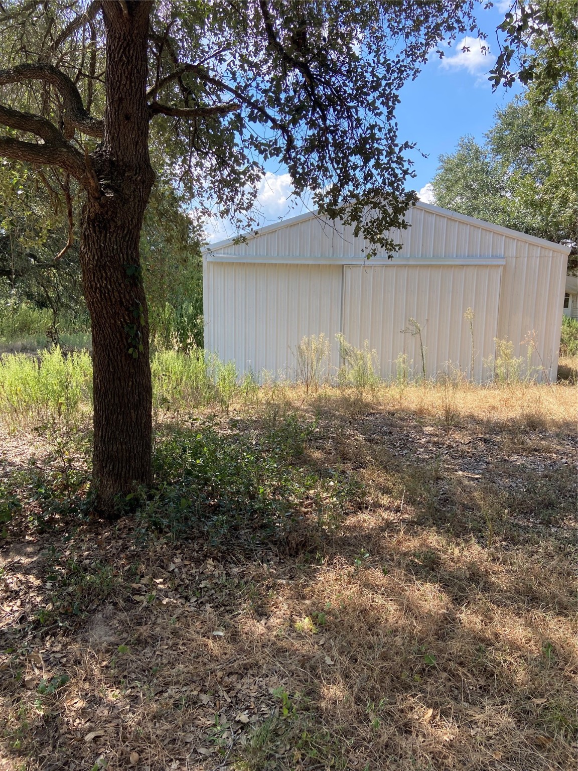 18105 Sweed Road Washington, TX 77880 - Photo 9 of 14 a view of backyard with tree