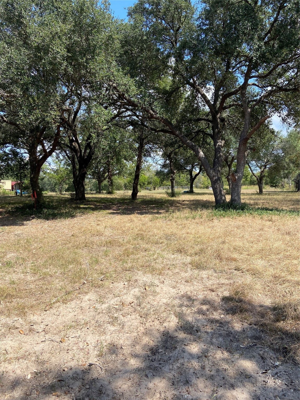 18105 Sweed Road Washington, TX 77880 - Photo 10 of 14 a view of yard with trees