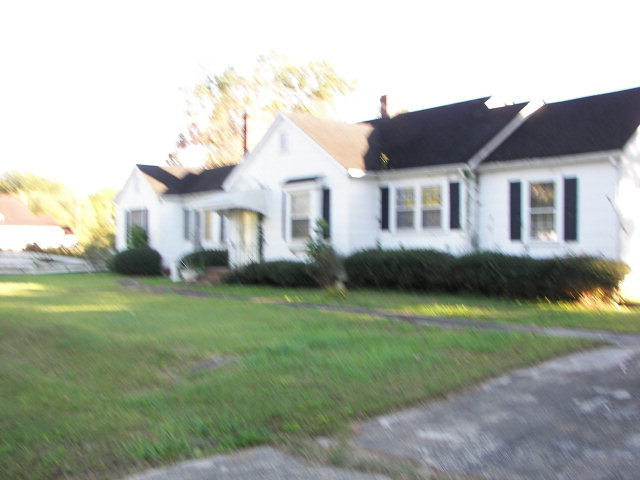 Primary Photo