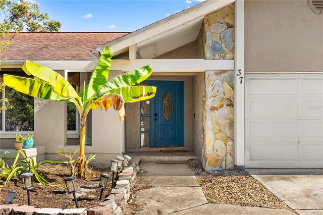 a view of entrance to house with potted plants
