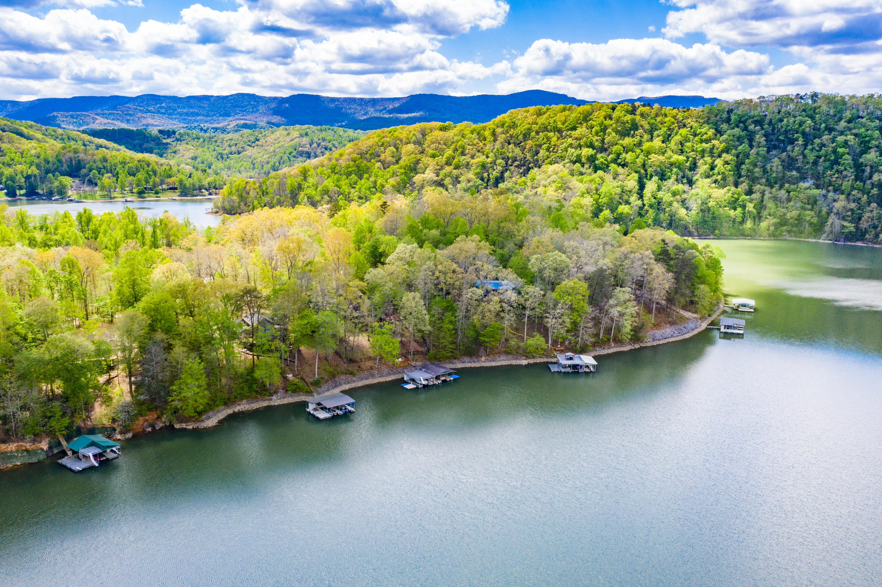 952 Fox Ridge Lane Caryville, TN 37714 - Photo 2 of 10 DJI_0777