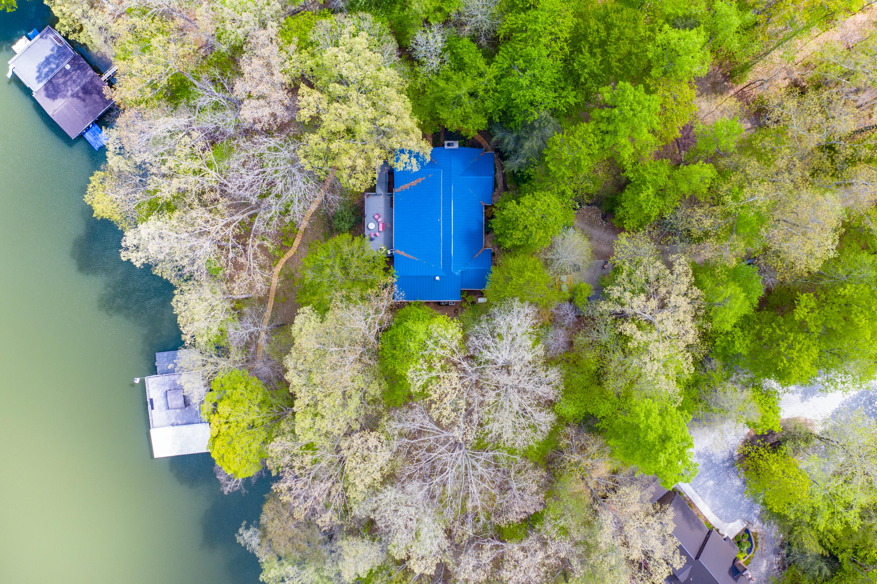 952 Fox Ridge Lane Caryville, TN 37714 - Photo 10 of 10 DJI_0797