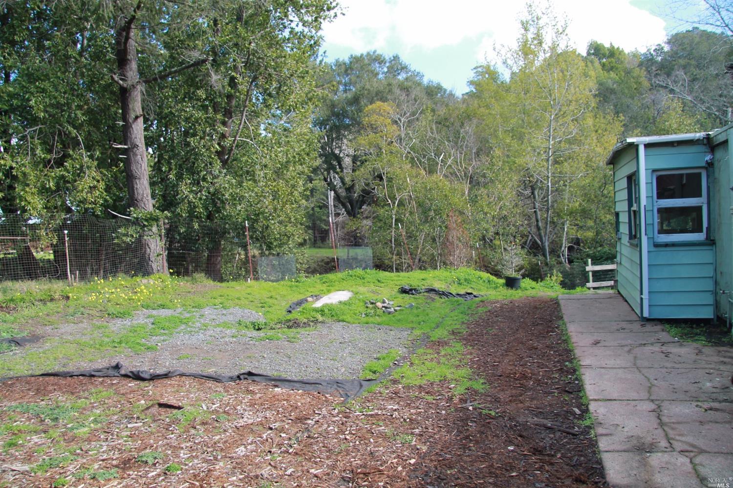 296 Butterfield Road San Anselmo, CA 94960 - Photo 1 of 1 a view of a backyard with large trees