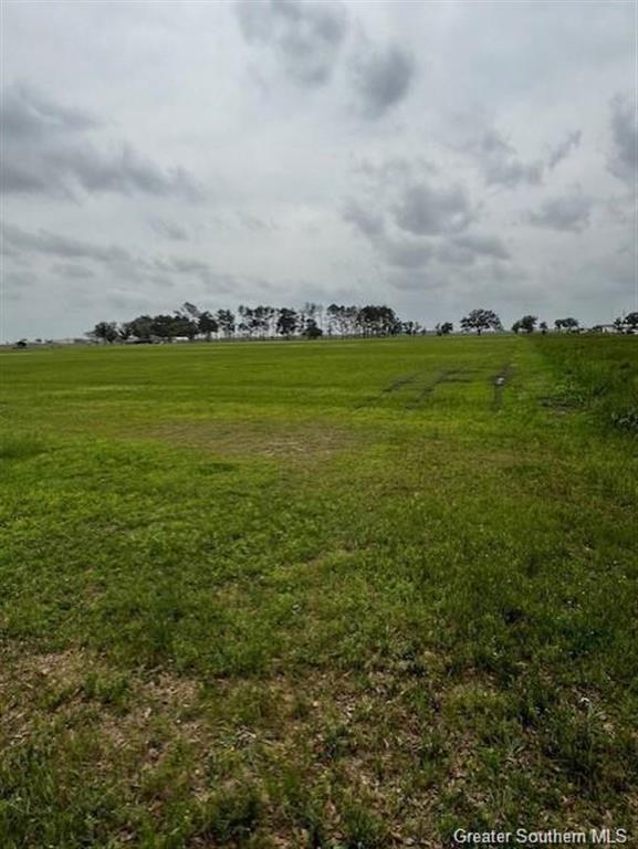 0 Gro Racca Road Iowa, LA 70647 - Photo 4 of 7