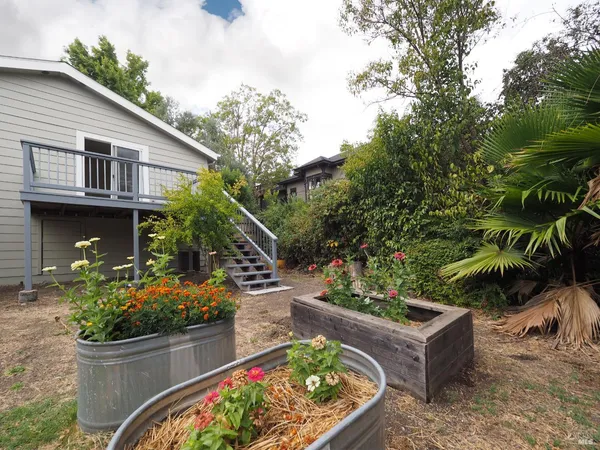 a view of a garden with plants