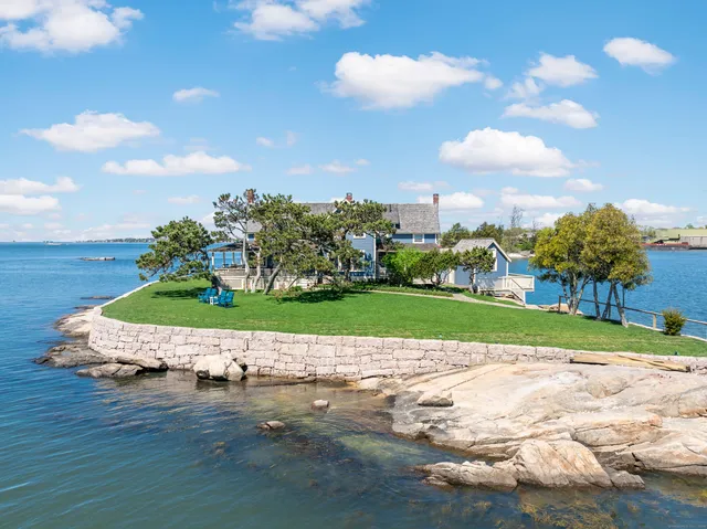 a view of a park with large trees