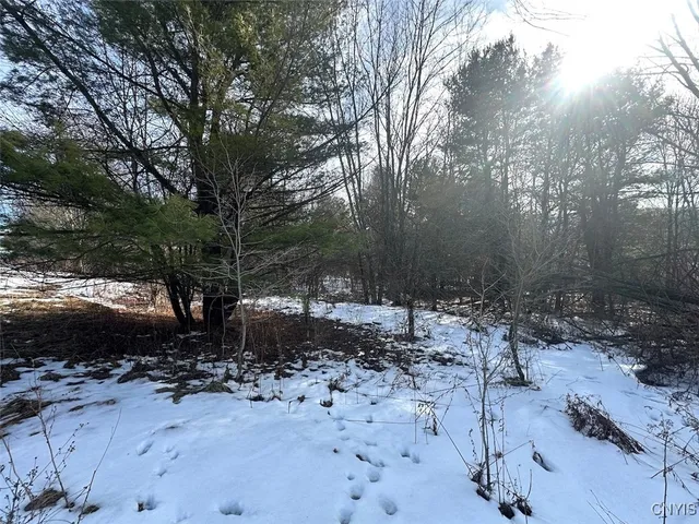 $25,900 | Pigtail Road, Friendship, NY 14739