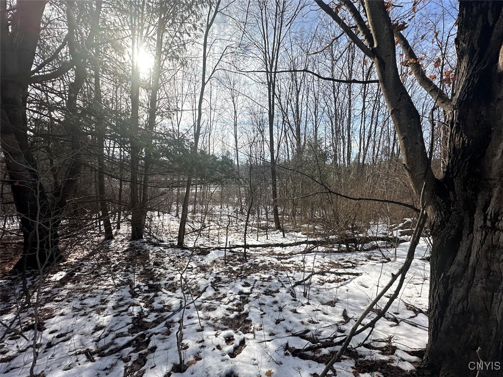 Pigtail Road Friendship, NY 14739 - Photo 2 of 12