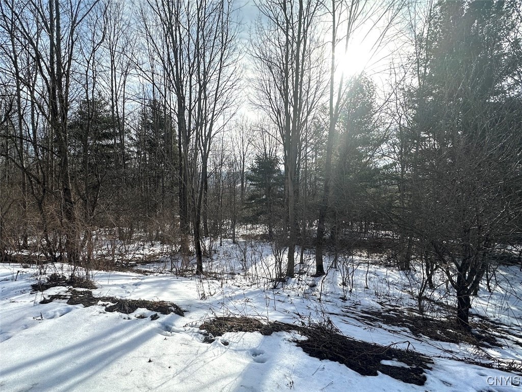 Pigtail Road Friendship, NY 14739 - Photo 3 of 12