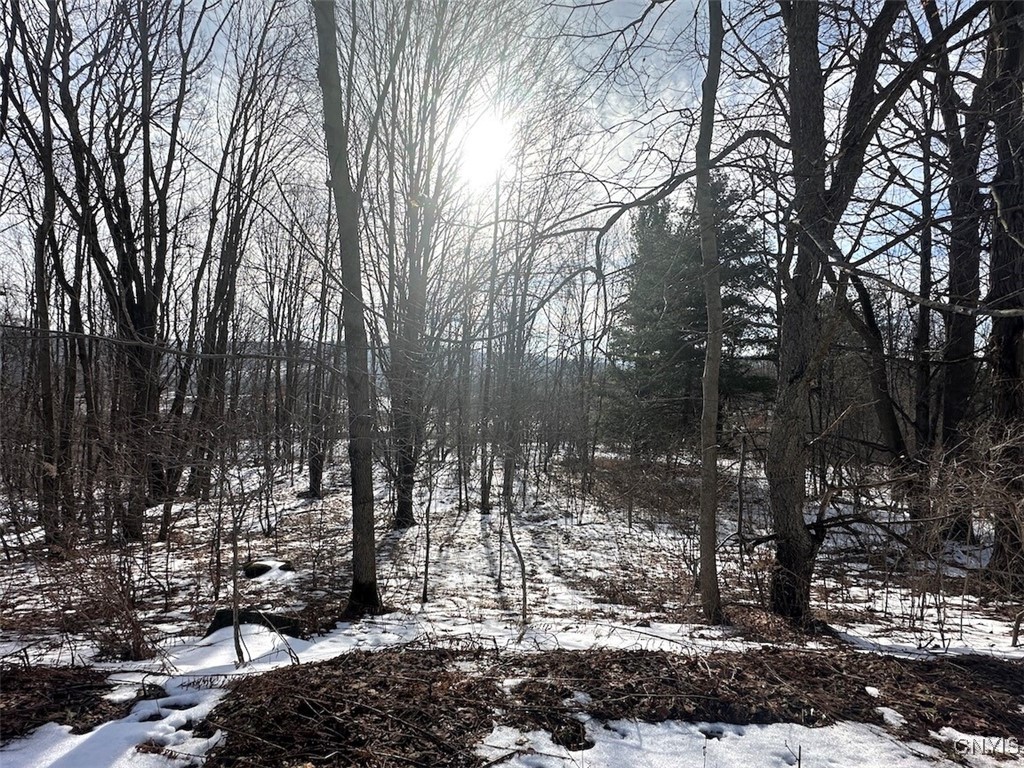 Pigtail Road Friendship, NY 14739 - Photo 5 of 12