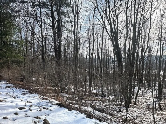 $25,900 | Pigtail Road, Friendship, NY 14739