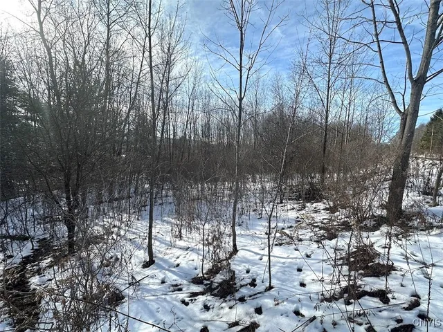 $25,900 | Pigtail Road, Friendship, NY 14739