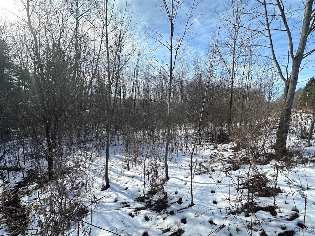 Pigtail Road Friendship, NY 14739 - Photo 7 of 12