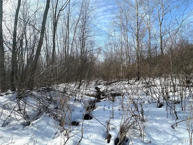 $25,900 | Pigtail Road, Friendship, NY 14739