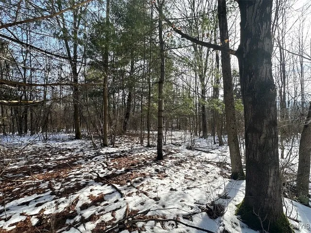 $25,900 | Pigtail Road, Friendship, NY 14739