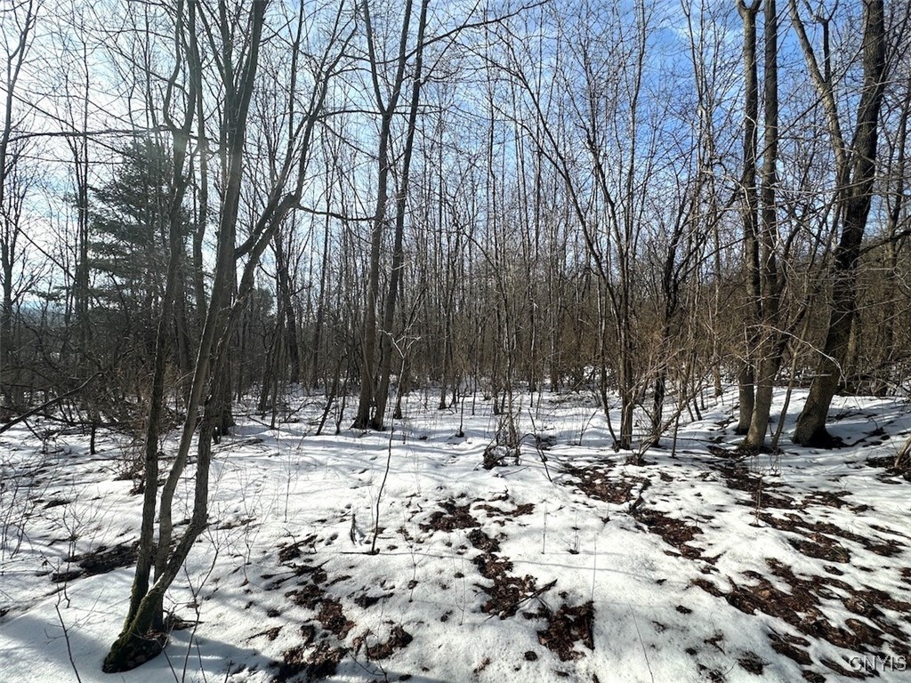 Pigtail Road Friendship, NY 14739 - Photo 10 of 12