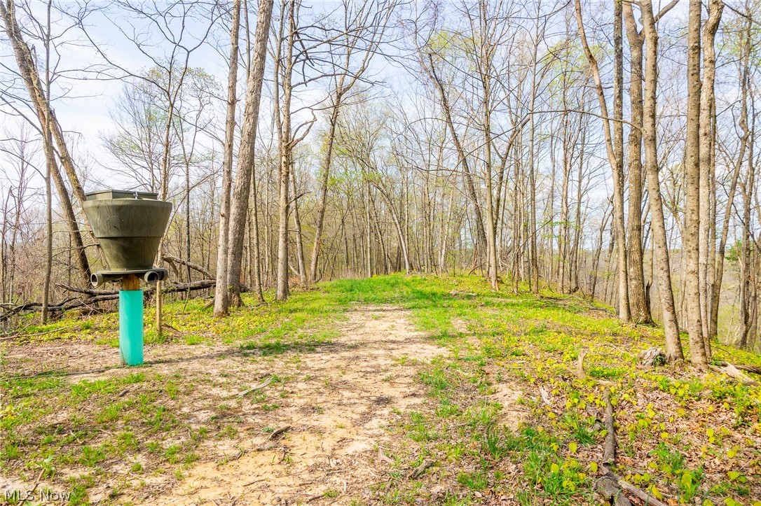 2115 Goss Fork Road, Unit 1 Whipple, OH 45788 - Photo 21 of 38