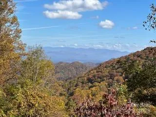 $1,255,000 | 580 Freemont Drive, Leicester, NC 28748