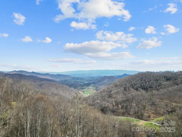 $1,255,000 | 580 Freemont Drive, Leicester, NC 28748