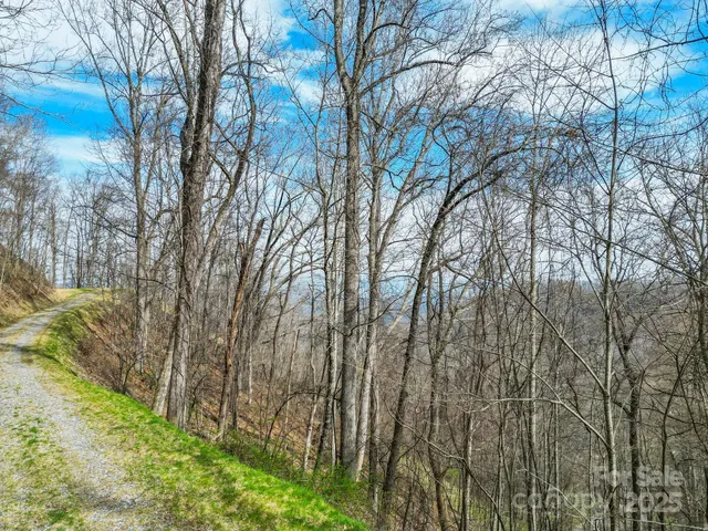 $1,255,000 | 580 Freemont Drive, Leicester, NC 28748