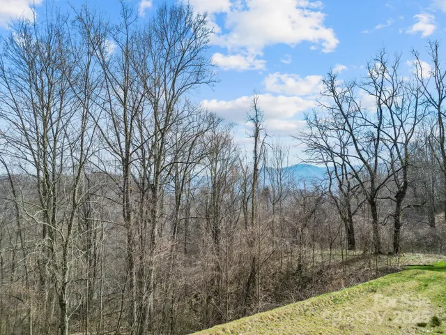 $1,255,000 | 580 Freemont Drive, Leicester, NC 28748