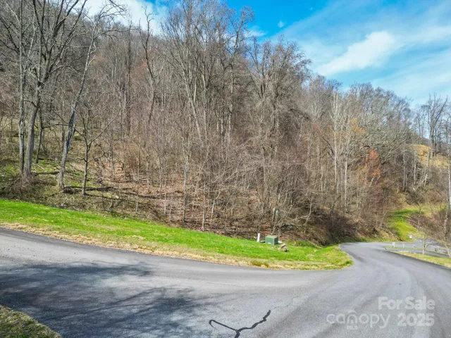 $1,255,000 | 580 Freemont Drive, Leicester, NC 28748