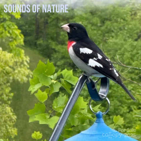 $1,255,000 | 580 Freemont Drive, Leicester, NC 28748