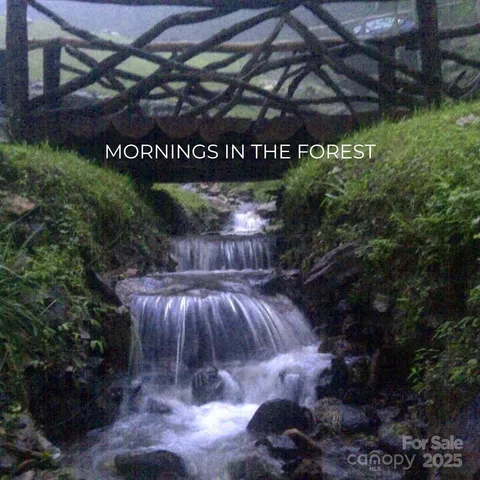 $1,255,000 | 580 Freemont Drive, Leicester, NC 28748