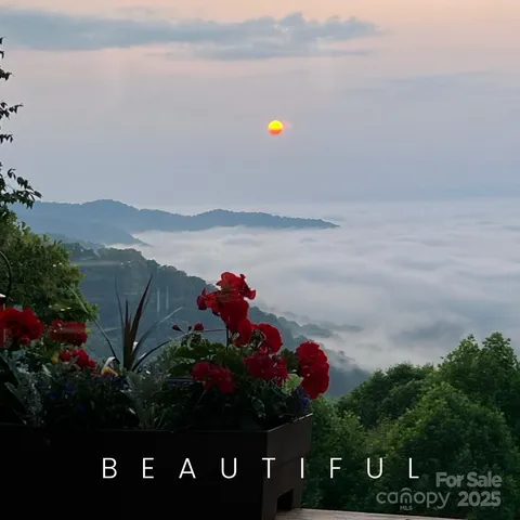 $1,255,000 | 580 Freemont Drive, Leicester, NC 28748