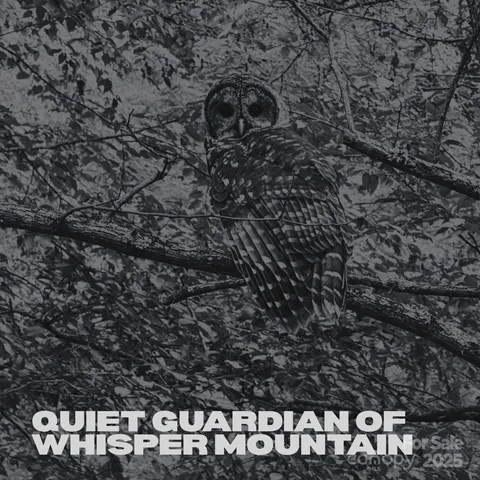 $1,255,000 | 580 Freemont Drive, Leicester, NC 28748