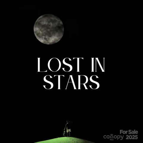 $1,255,000 | 580 Freemont Drive, Leicester, NC 28748